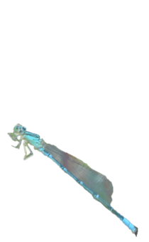 857485299