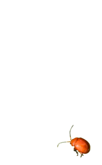 857485308