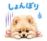 857486748