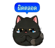 857487428