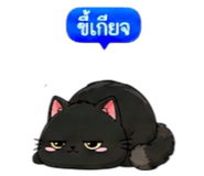 857487436