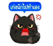 857487437