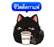 857487446