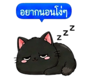 857487448