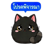 857487453