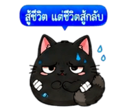 857487459