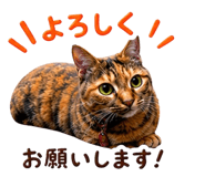 857488269