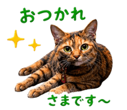 857488270