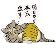 857493984