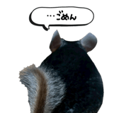 857494523