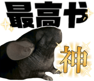 857494527