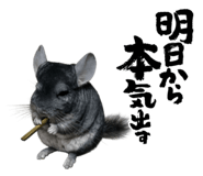 857494534