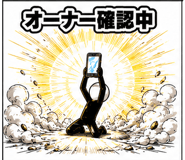 857494556