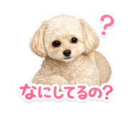 857499310