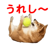 857500770
