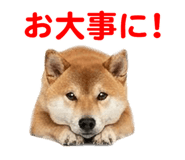 857500771