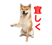 857500772