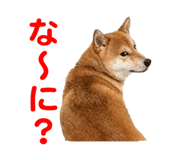 857500773