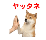 857500774