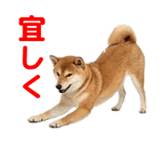 857500776