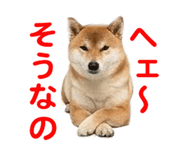 857500777