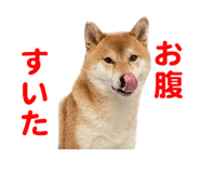 857500778