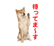 857500780