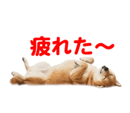 857500782