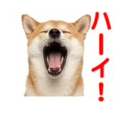 857500784