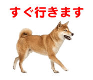 857500785