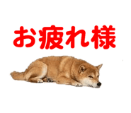 857500786