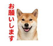857500787