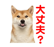 857500788