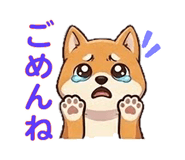 857500790