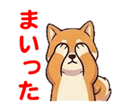 857500793