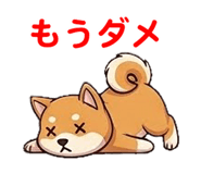 857500795