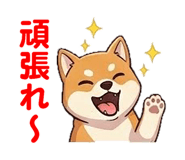 857500804