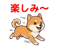 857500808