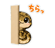 857501336