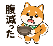 857502889