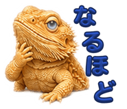 857507300