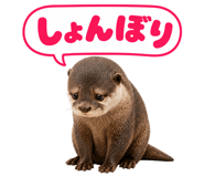 857510020