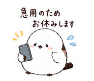 857511564