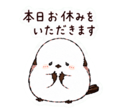857511565