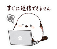 857511570