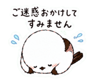 857511581