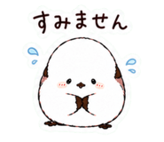 857511593