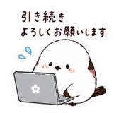 857511597