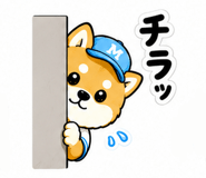 857513938