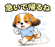 857516661